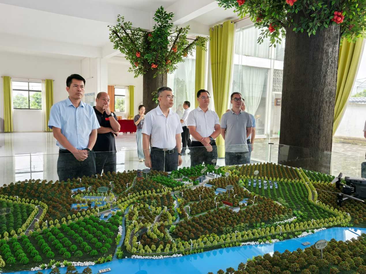 黃智宇調研欽州市靈山縣人工智能應用軟件開發工作 以數字技術賦能產業升級與區域發展